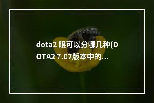 dota2 眼可以分哪几种(DOTA2 7.07版本中的全新眼位及地形变化)