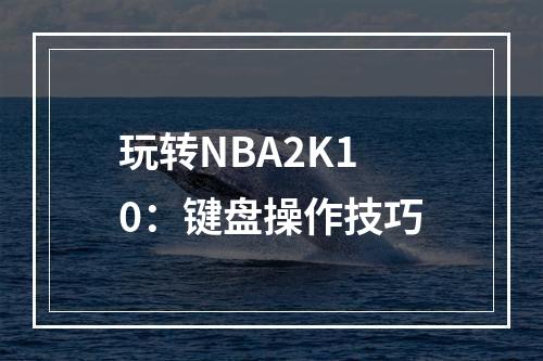 玩转NBA2K10：键盘操作技巧