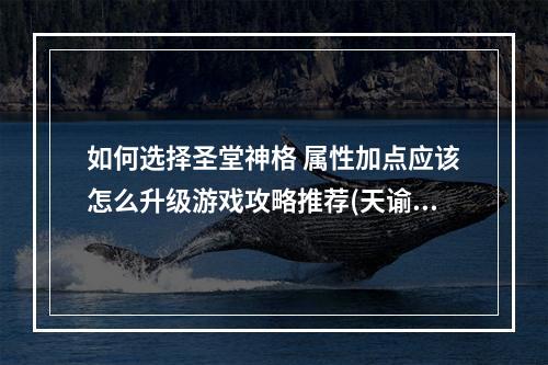 如何选择圣堂神格 属性加点应该怎么升级游戏攻略推荐(天谕手游)