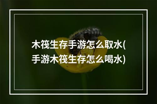 木筏生存手游怎么取水(手游木筏生存怎么喝水)