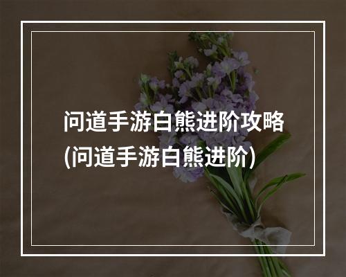 问道手游白熊进阶攻略(问道手游白熊进阶)