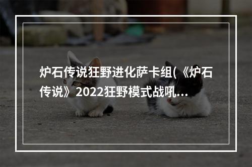 炉石传说狂野进化萨卡组(《炉石传说》2022狂野模式战吼萨卡组推荐 炉石传说  )