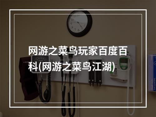 网游之菜鸟玩家百度百科(网游之菜鸟江湖)