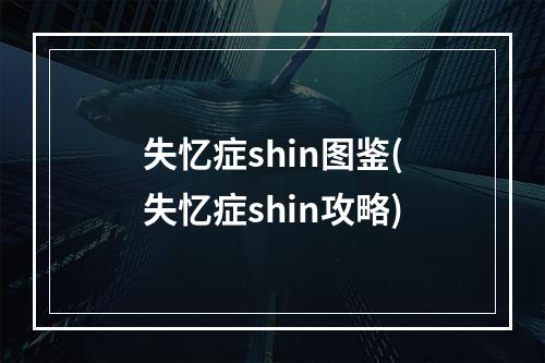 失忆症shin图鉴(失忆症shin攻略)