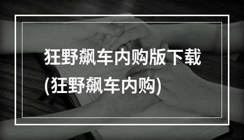 狂野飙车内购版下载(狂野飙车内购)