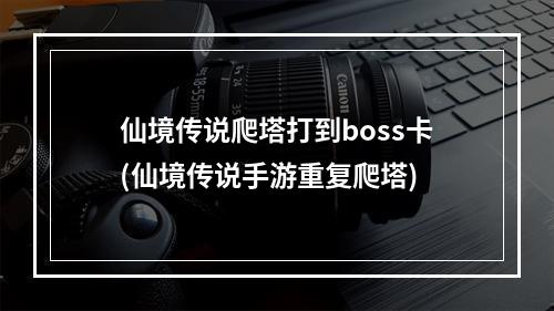 仙境传说爬塔打到boss卡(仙境传说手游重复爬塔)