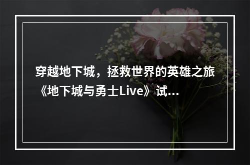 穿越地下城，拯救世界的英雄之旅《地下城与勇士Live》试玩心得(打怪升级，体验奇妙冒险玩《地下城与勇士Live》试玩两小时心得)