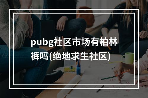 pubg社区市场有柏林裤吗(绝地求生社区)