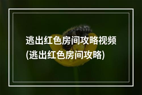 逃出红色房间攻略视频(逃出红色房间攻略)