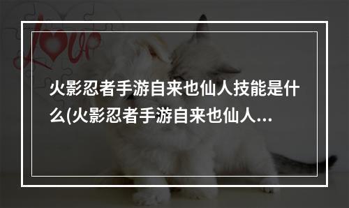 火影忍者手游自来也仙人技能是什么(火影忍者手游自来也仙人技能)