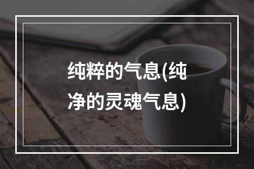 纯粹的气息(纯净的灵魂气息)