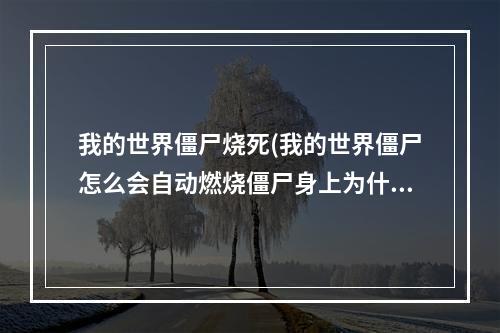 我的世界僵尸烧死(我的世界僵尸怎么会自动燃烧僵尸身上为什么着火)