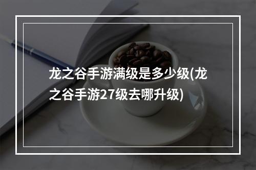 龙之谷手游满级是多少级(龙之谷手游27级去哪升级)