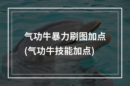 气功牛暴力刷图加点(气功牛技能加点)