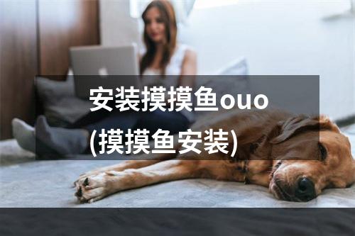 安装摸摸鱼ouo(摸摸鱼安装)