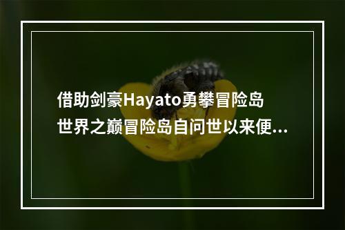 借助剑豪Hayato勇攀冒险岛世界之巅冒险岛自问世以来便深受玩家喜爱，而其中的剑豪Hayato职业更是让许多玩家为之疯狂。这个传统的日本忍者职业和中国武术的完美