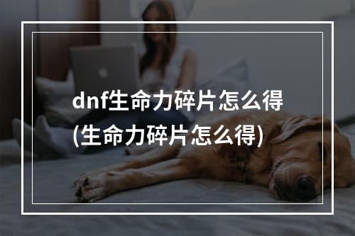 dnf生命力碎片怎么得(生命力碎片怎么得)