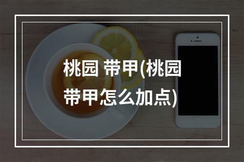 桃园 带甲(桃园带甲怎么加点)