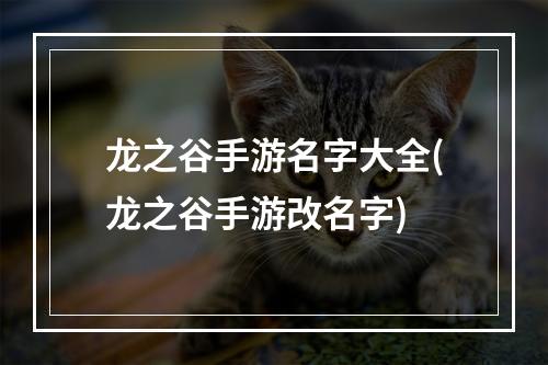 龙之谷手游名字大全(龙之谷手游改名字)