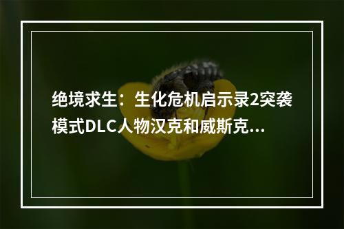 绝境求生：生化危机启示录2突袭模式DLC人物汉克和威斯克测评