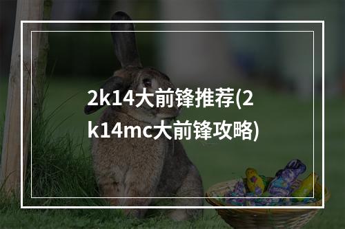 2k14大前锋推荐(2k14mc大前锋攻略)