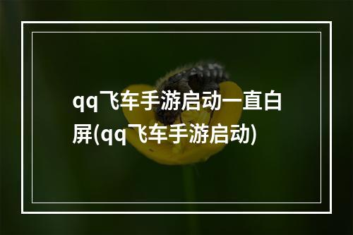 qq飞车手游启动一直白屏(qq飞车手游启动)