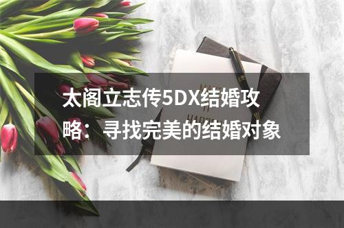 太阁立志传5DX结婚攻略：寻找完美的结婚对象