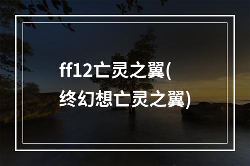 ff12亡灵之翼(终幻想亡灵之翼)