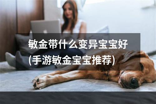 敏金带什么变异宝宝好(手游敏金宝宝推荐)