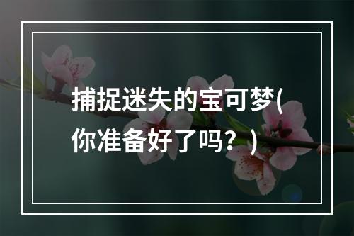 捕捉迷失的宝可梦(你准备好了吗？)