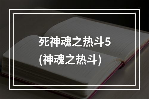 死神魂之热斗5(神魂之热斗)