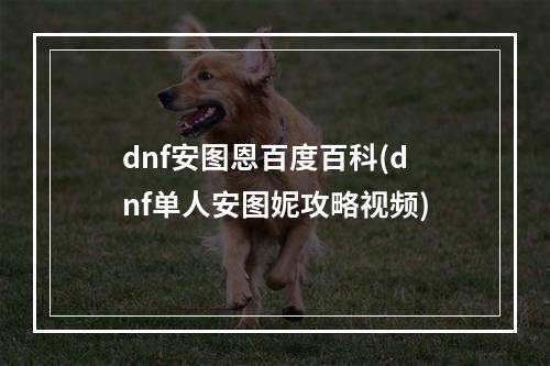 dnf安图恩百度百科(dnf单人安图妮攻略视频)