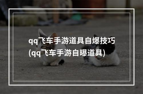 qq飞车手游道具自爆技巧(qq飞车手游自曝道具)