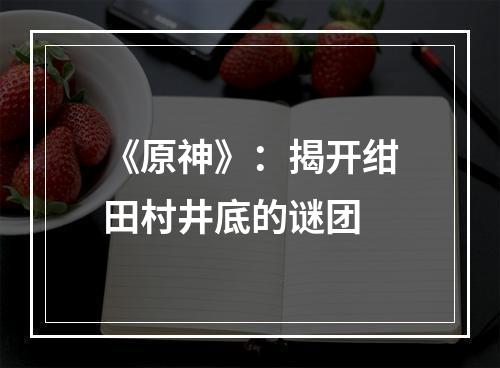 《原神》：揭开绀田村井底的谜团