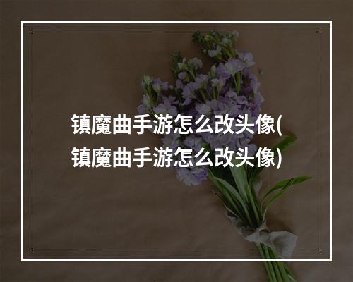 镇魔曲手游怎么改头像(镇魔曲手游怎么改头像)