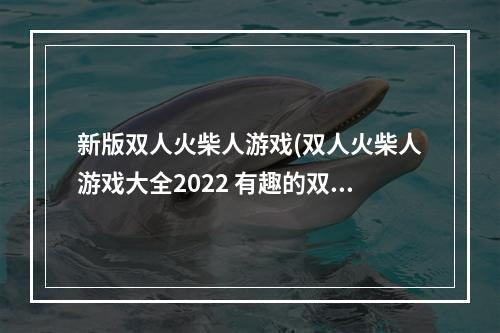 新版双人火柴人游戏(双人火柴人游戏大全2022 有趣的双人火柴人游戏排行榜)