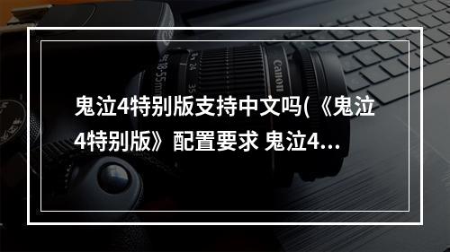 鬼泣4特别版支持中文吗(《鬼泣4特别版》配置要求 鬼泣4特别版配置要求高不高)