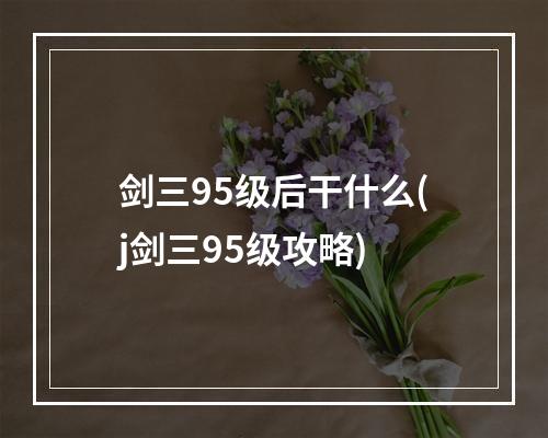 剑三95级后干什么(j剑三95级攻略)