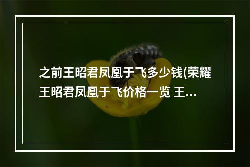 之前王昭君凤凰于飞多少钱(荣耀王昭君凤凰于飞价格一览 王昭君凤凰于飞多少钱)