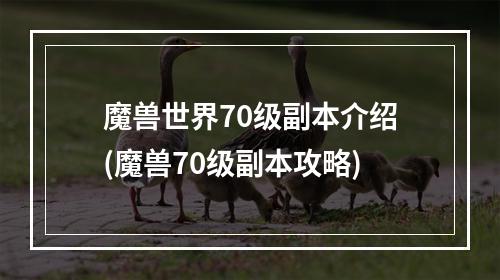 魔兽世界70级副本介绍(魔兽70级副本攻略)