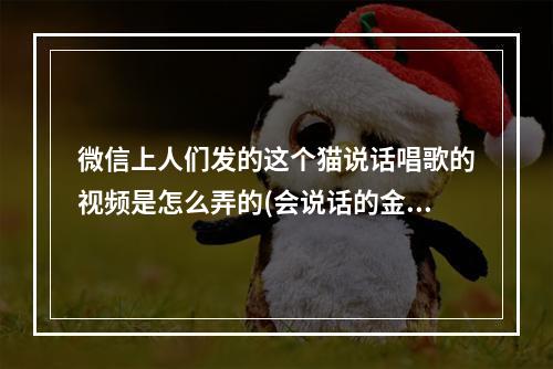 微信上人们发的这个猫说话唱歌的视频是怎么弄的(会说话的金杰2)