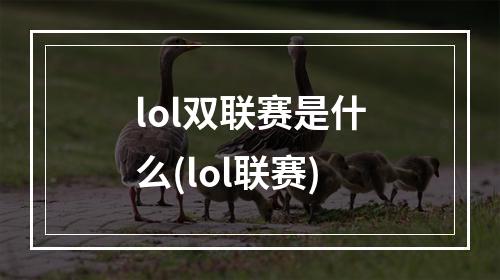 lol双联赛是什么(lol联赛)