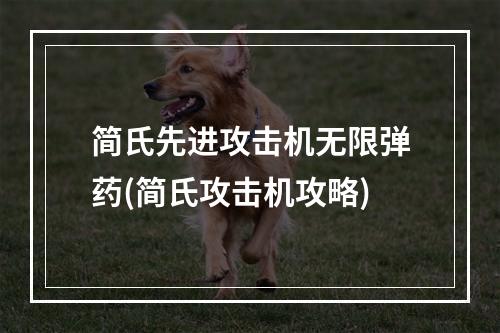 简氏先进攻击机无限弹药(简氏攻击机攻略)