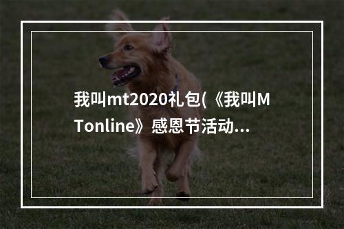 我叫mt2020礼包(《我叫MTonline》感恩节活动mdashmdash感恩节礼包免费领取)