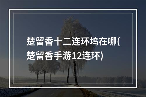 楚留香十二连环坞在哪(楚留香手游12连环)