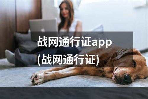 战网通行证app(战网通行证)