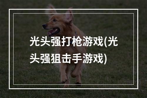 光头强打枪游戏(光头强狙击手游戏)