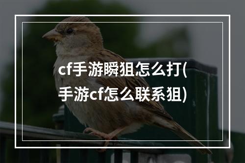 cf手游瞬狙怎么打(手游cf怎么联系狙)