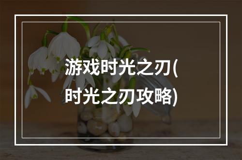 游戏时光之刃(时光之刃攻略)