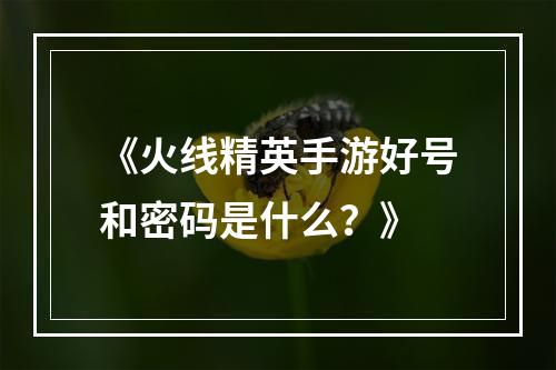 《火线精英手游好号和密码是什么？》